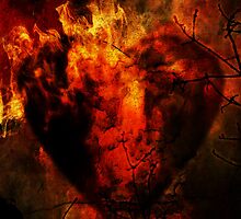Heart of Fire by Sybille Sterk