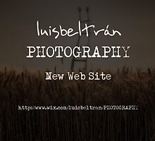 New Web Site by Luis Beltrán