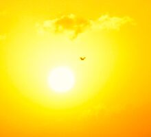 Blinding Flight by MarianBendeth