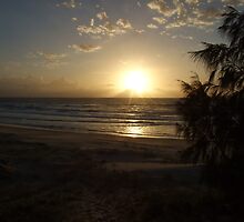 Whats the story Morning Glory by Thania