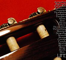 A song without notes by Wayne Cook