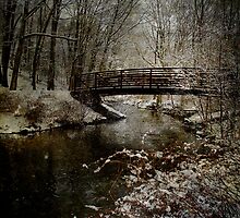 Trail's Bridge by M a r i e B a r c i a