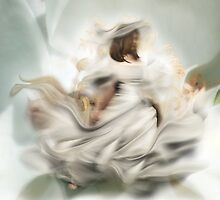 Miss Magnolia... by Lisa Argyropoulos
