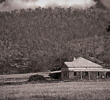 Moments In Time by Bruce Cathie