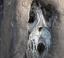 Ghoul in the wood by Jo McGowan