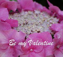 Be my Valentine by loiteke