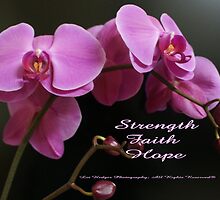 Strength, Hope, Survive; Begin each day with faith. Lei Hedger Photography All Rights Reserved by leih2008