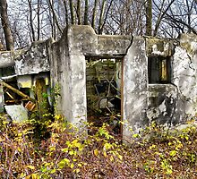 Haven's Cottage Bungalo Ruins by wiscbackroadz