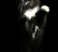 Stand Up by Jamie Lee
