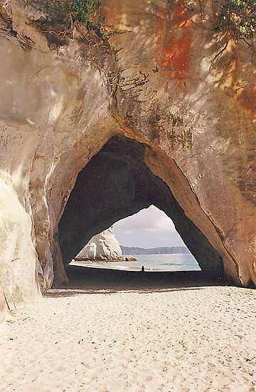 hahei cathedral cove