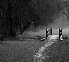 The Murky Bridge by Hoodle-Hoo