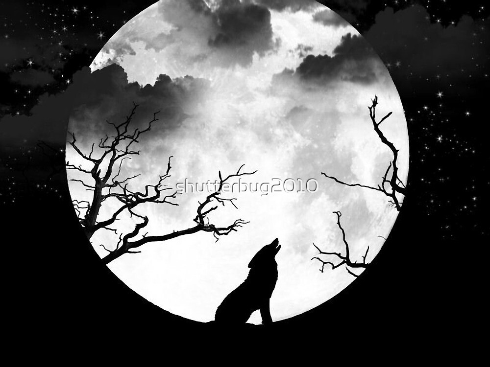 Bark At The Moon By Shutterbug2010 Redbubble