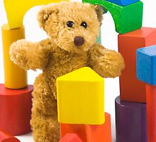 Ted's castle by Sandra O'Connor