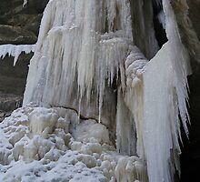 Curtains of Ice by Richard Williams