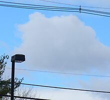 cloud on a wire by doreen connors