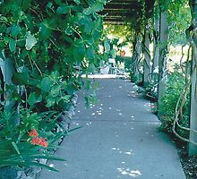 ENTRANCE TO THE WINE TASTING VINEYARD by BonaParte