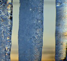 sky-cicles by doreen connors
