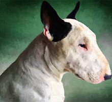 Bull Terrier on Green by Michael Tompsett