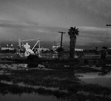 Oil Fields by Tom-Sky