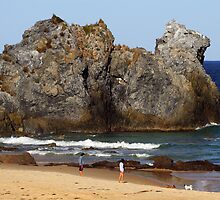 Camel Rock at Bermagui by Darren Stones