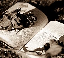 Book of Psalms by Simon Marsden