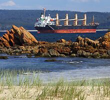 Twofold Bay at Eden by Darren Stones