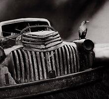 Storm Watcher by Ron C. Moss