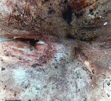 flesh #4 by butchart