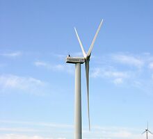 Rolling Hills and Windmills by Darcy Overland
