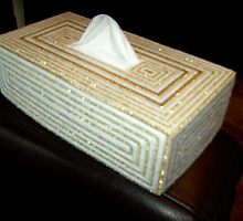 Crafts~Latest activity tissue box cover in plastic canvas by anaisnais