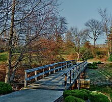 Cross Over The Bridge by Lanis Rossi