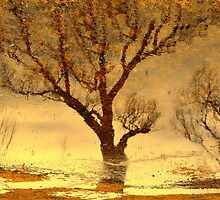 Water reflection X I!... by sendao