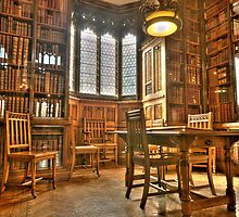 "Quiet Please in the Library" by Stephen Knowles