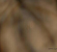 Actions Speak Louder Than Words © by Vicki Ferrari