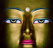 prince gautama. the buddha, india by tim buckley | bodhiimages