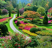 Butchart Gardens BC, Canada in the Fall by AnnDixon