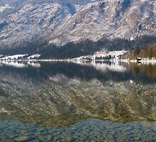 Reflections of an Alpine lake by Ian Middleton