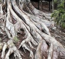 ROOTS 5 by Tammera
