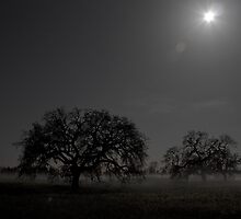 3 AM in Sonoma County by R3photography