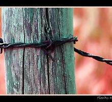 Wired by Dr. Harmeet Singh