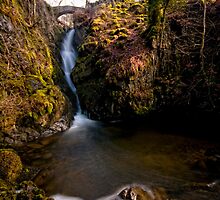 Aria Force by Edward Bentley
