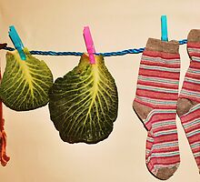 'Bacon, Cabbage and Stripey Socks' by Christine Lake