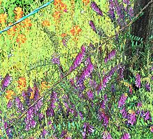 Vetch and Paintbrushes by catherinemhowl