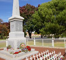 Carisbrook Cenotaph by Arthur Koole