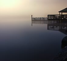 Foggy Night at Lilydale Lake #1 by Jason Green