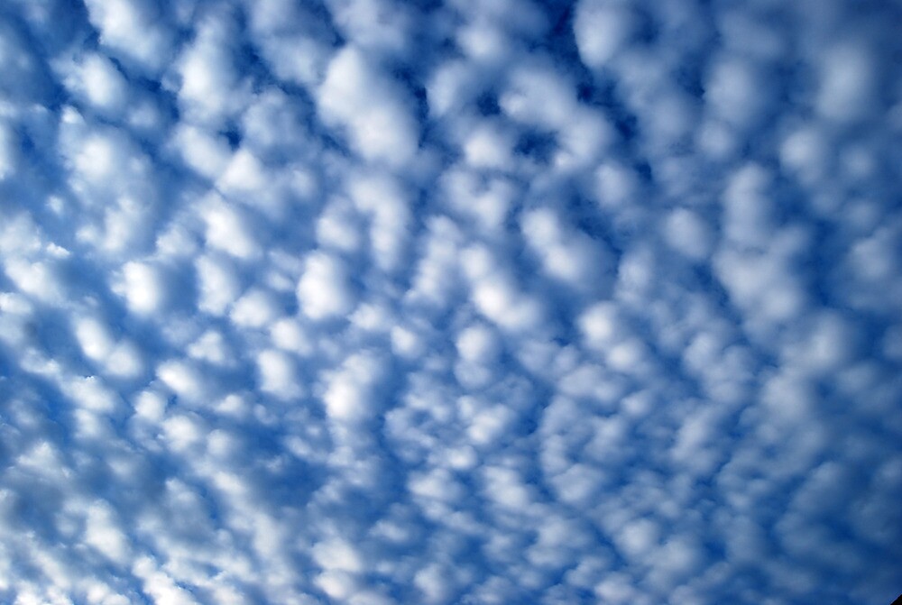 a-sea-of-cotton-ball-clouds-by-revive-the-light-photography-redbubble