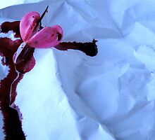 Shot Thru the Heart (Episode 3) by Lynn Armstrong
