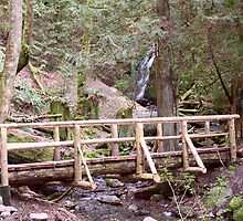 Coal Creek Falls and Foot Bridge by Stacey Lynn Payne