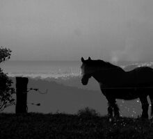 The best view in the world by Virginia McGowan