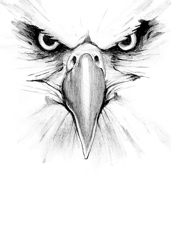 "Eagle Face" Stickers by seizethejay | Redbubble
